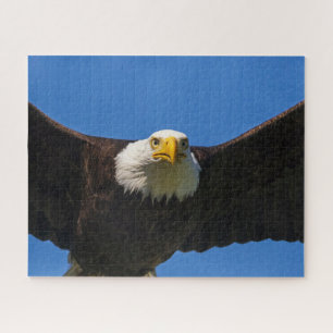 Quebra-cabeça Águia Americana Voando Perto