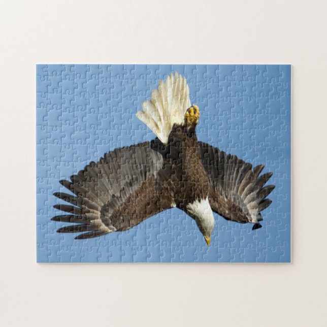 Quebra-cabeça Águia Balda mergulhando em direção à água (Horizontal)