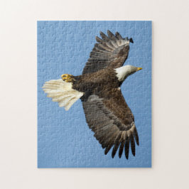 Quebra-cabeça Águia Balda mergulhando em direção à água