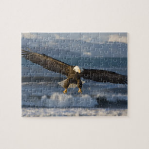 Quebra-cabeça Águia-careca, Haliaeetus leucocephalus, Homer, 3