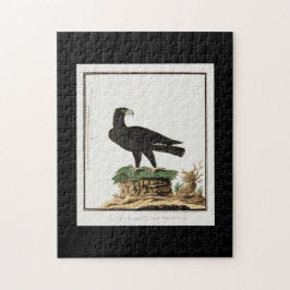 Quebra-cabeça Águia Negra de Verreaux | Ilustração de aves selva