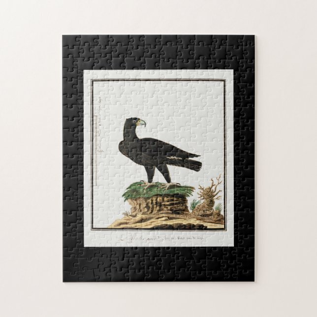 Quebra-cabeça Águia Negra de Verreaux | Ilustração de aves selva (Vertical)