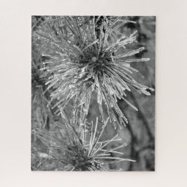 Quebra-cabeça Agulhas de pinheiro cobertas por gelo em preto e b