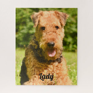 Quebra-cabeça Airedale Terrier Puppy Dog
