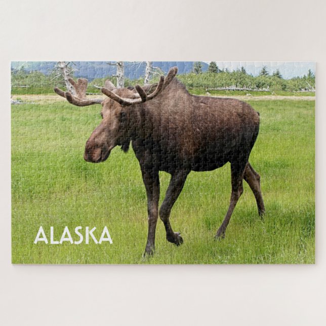 Quebra-cabeça Alasca: Alaskan Moose 2 (Horizontal)
