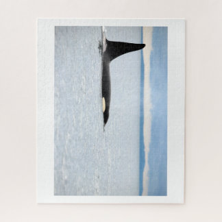 Quebra-cabeça Alasca - Orca