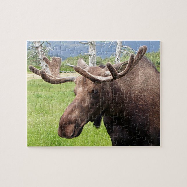 Quebra-cabeça Alaskan Moose 1 (Horizontal)