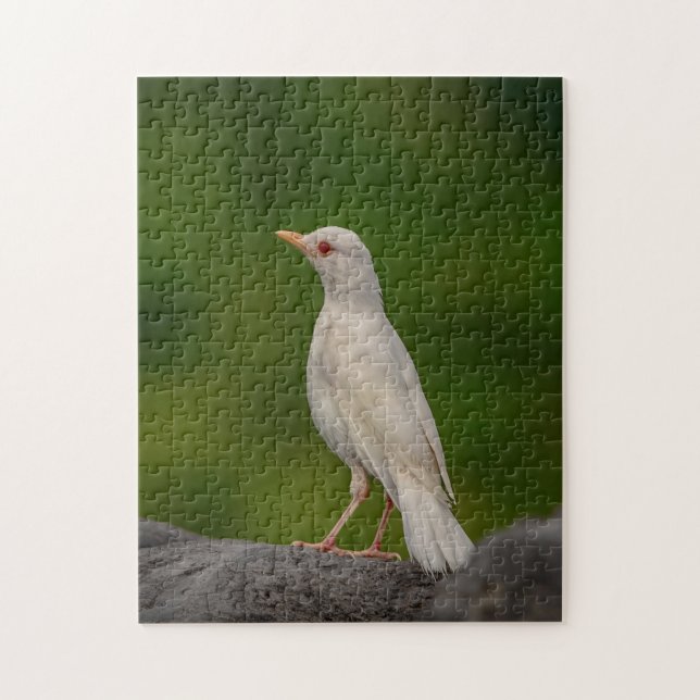 Quebra-cabeça Albino Robin em Crown Point (Vertical)