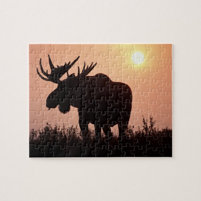 Quebra-cabeça alce, Alces alces, touro com grandes chifres, (Horizontal)