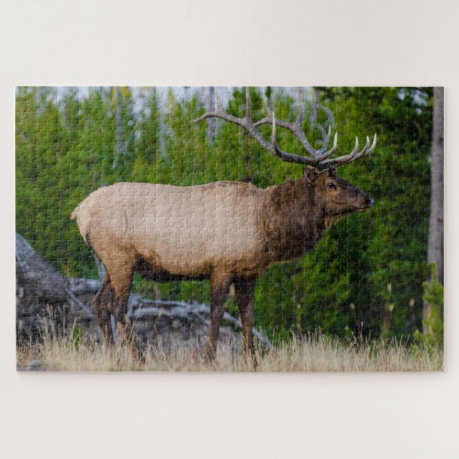 Quebra-cabeça Alce | Parque Nacional de Yellowstone, Wyoming (Horizontal)