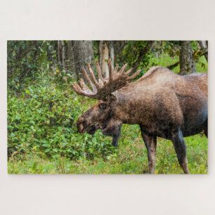 Quebra-cabeça Alce   Península de Kenai, Alasca