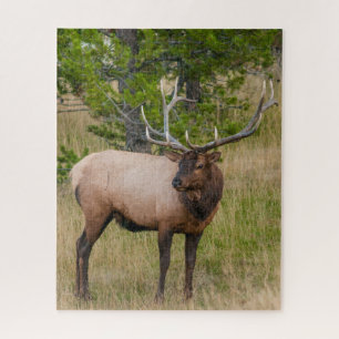 Quebra-cabeça Aldeia Elk Lake Parque Nacional de Yellowstone Wyo