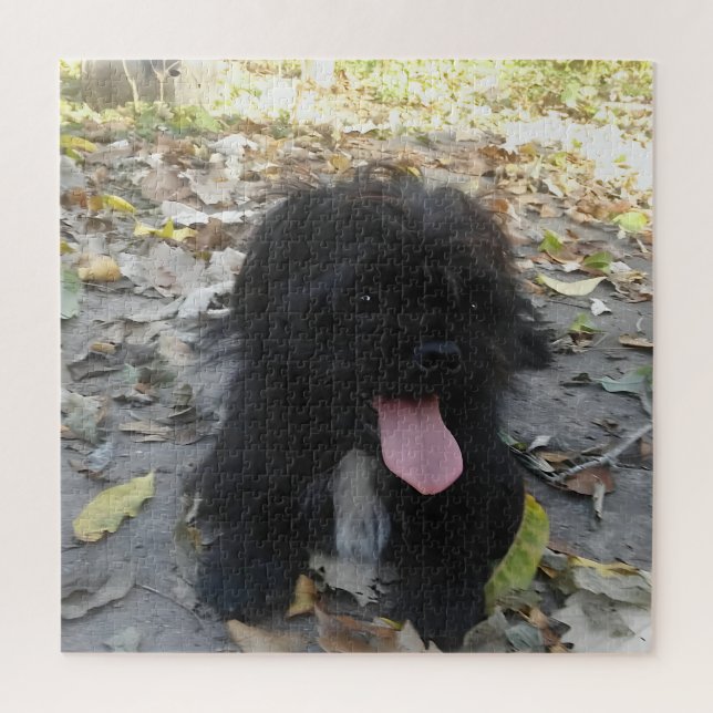 Quebra-cabeça Alerta de Cachorrinho Fofo (Vertical)