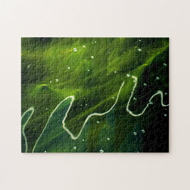 Quebra-cabeça Algas verdes e água 11x14 252pc jpcn (Horizontal)