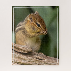 Quebra-cabeça Algo Cheira Chipmunk