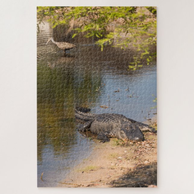 Quebra-cabeça Alligator and Carrao bird In Florida Wetlands (Vertical)