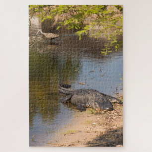 Quebra-cabeça Alligator e Carrao bird In Florida Wetlands
