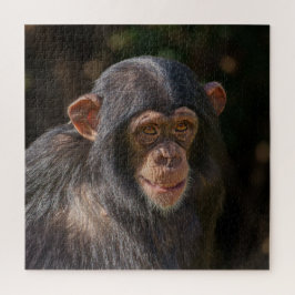 Quebra-cabeça Alma Brincalhona – Chimpanzé Bebê Close-Up