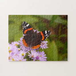 Quebra-cabeça Almirante Vermelho em anêmonas