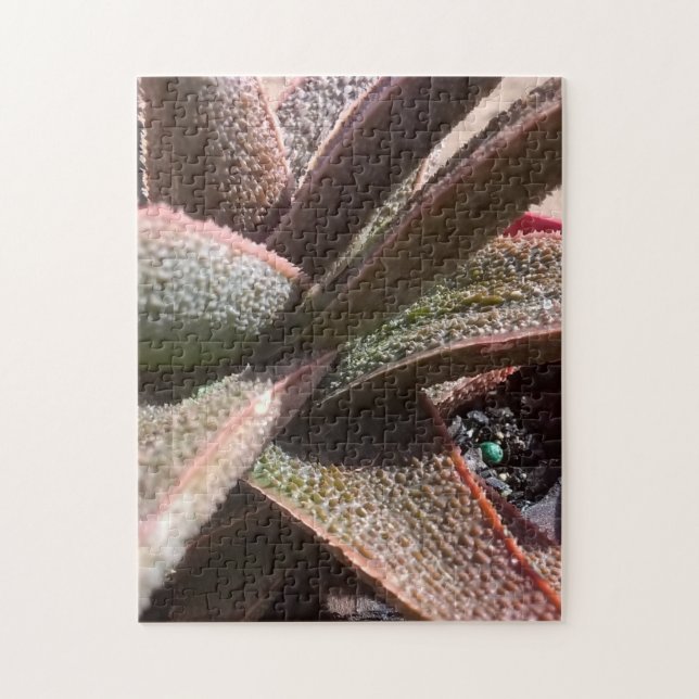 Quebra-cabeça aloés vermelho da planta do succulent 11" x 14" PC (Vertical)