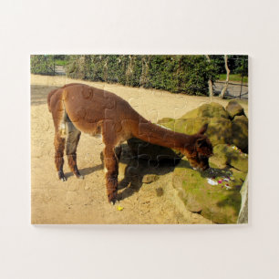 Quebra-cabeça Alpaca