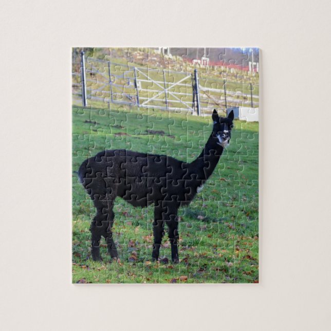 Quebra-cabeça Alpaca (Vertical)