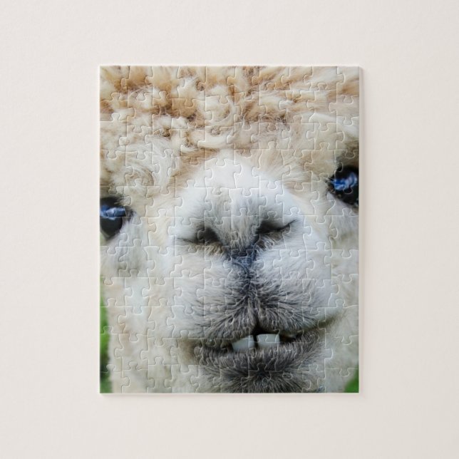 QUEBRA-CABEÇA ALPACA 8X10 (Vertical)