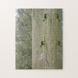 Quebra-cabeça - Alpacas no Morro