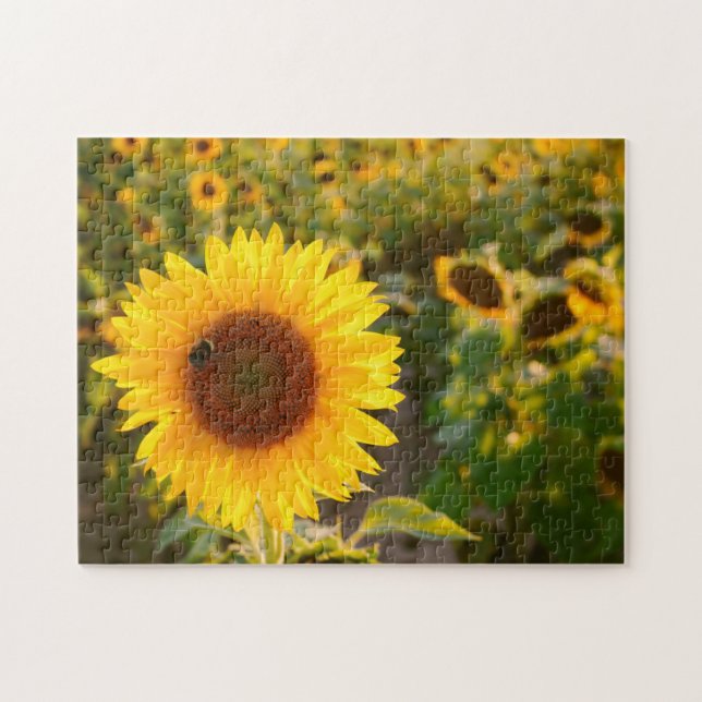 Quebra-cabeça Amarelo Hardy Girassol Melhores Fotos de Girassol (Horizontal)