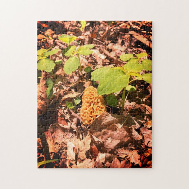 Quebra-cabeça amarelo Morel Jigsera (Vertical)