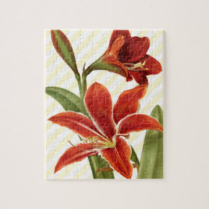 Quebra-cabeça Amaryllis do vintage