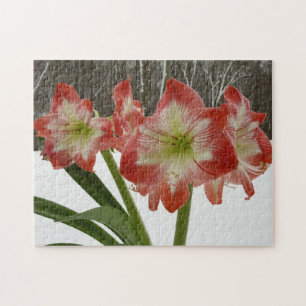 Quebra-cabeça Amaryllis na Neve Vermelho Floral de Férias de Inv