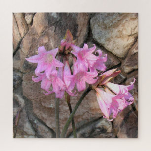 Quebra-cabeça - Amaryllis rosa