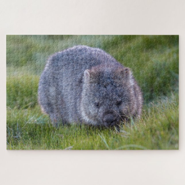 Quebra-cabeça Amazing Wombat in the Grass Australia, 1014 pieces (Horizontal)