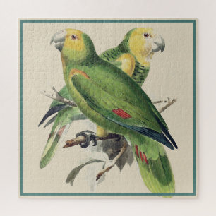Quebra-cabeça Amazona Parrots - aves de colheita