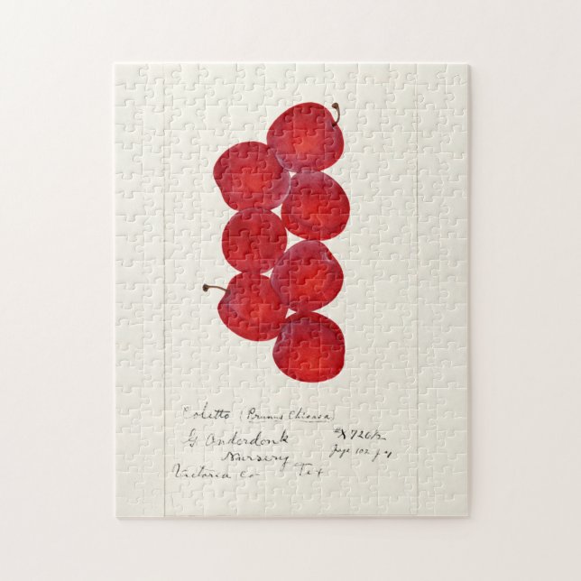 Quebra-cabeça Ameixas (Prunus Domestica) Fruta Impressão por Aqu (Vertical)