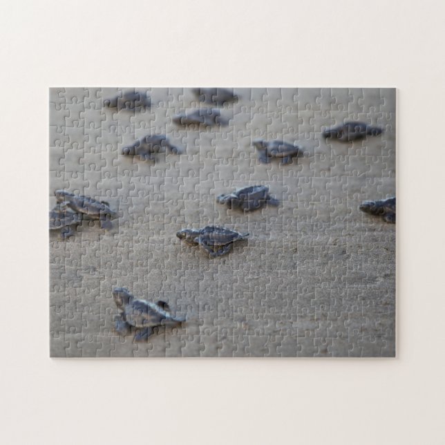 Quebra-cabeça América Central, El Salvador, Oceano Pacífico (Horizontal)