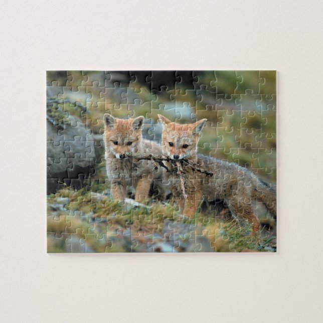 Quebra-cabeça América do Sul, Chile, Nacional Torres del Paine (Horizontal)