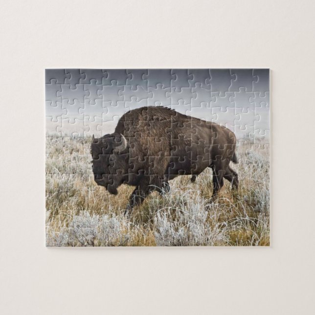 Quebra-cabeça American Bison ou Buffalo (Horizontal)