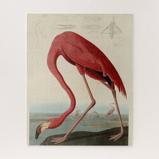 Quebra-cabeça American Flamingo, das Aves da América de Audubon (Vertical)