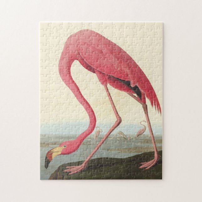 Quebra-cabeça American Flamingo ~ John James Audubon 11 x 14 (Vertical)