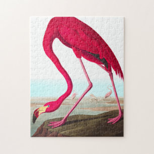 Quebra-cabeça American Flamingo, por John James Audubon
