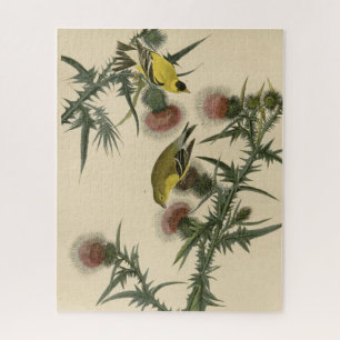 Quebra-cabeça American Goldfinch das "Birds of America" de Audub