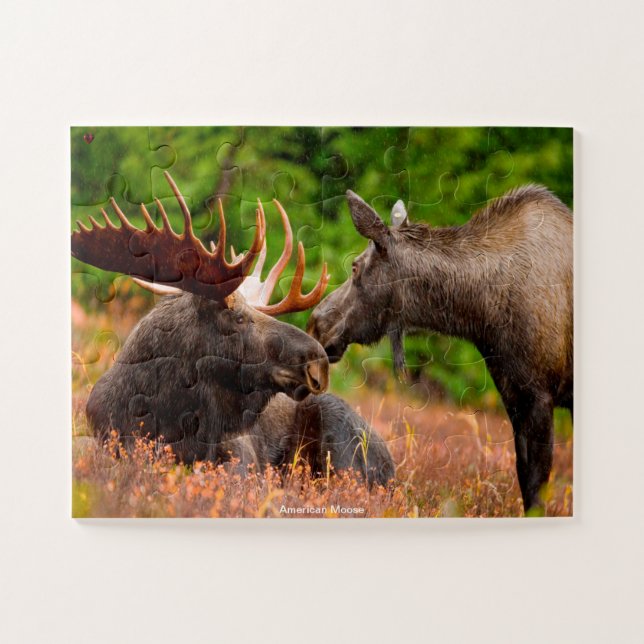 Quebra-cabeça American Moose (Horizontal)
