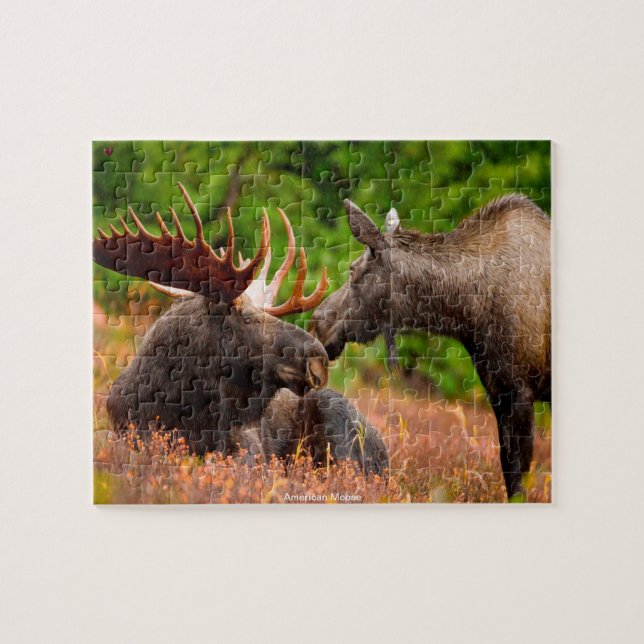 Quebra-cabeça American Moose (Horizontal)