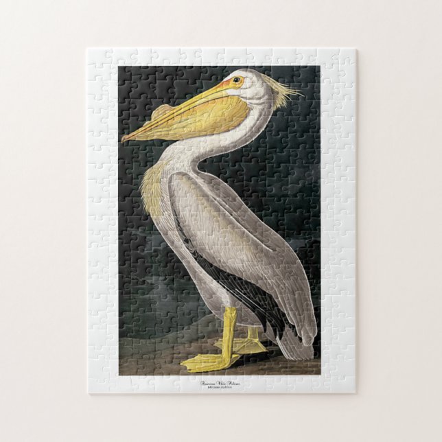 Quebra-cabeça American White Pelican John James Audubon 11 x 14 (Vertical)