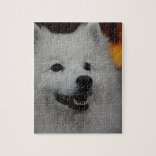 Quebra-cabeça americano do cão Eskimo