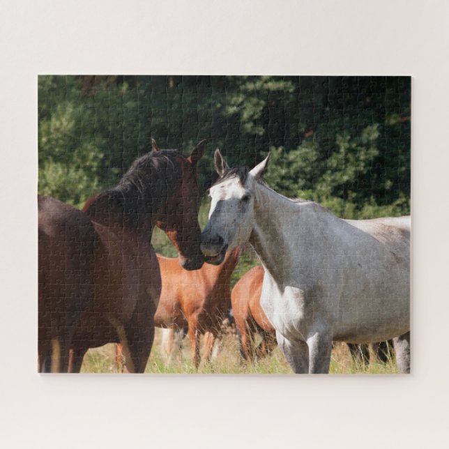 Quebra-cabeça Amigos cavalos (Horizontal)