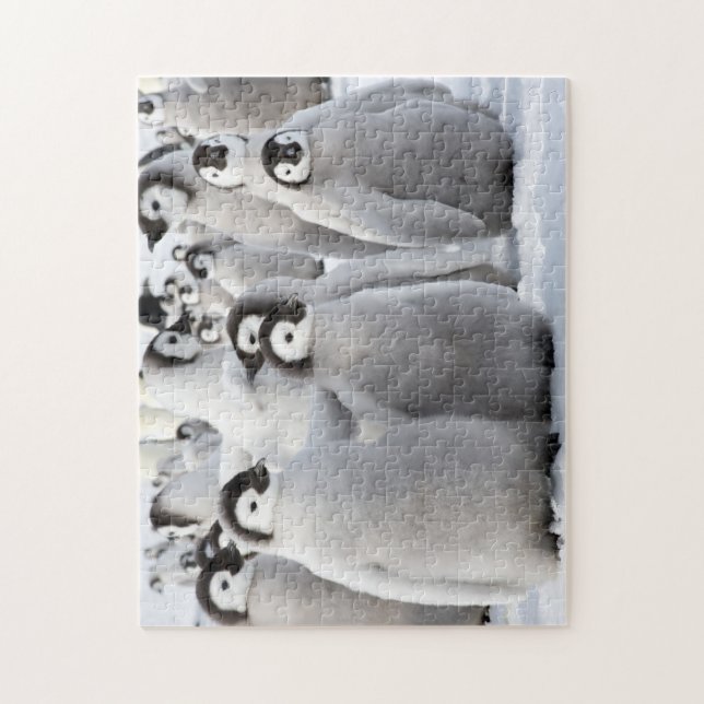 Quebra-cabeça Amigos do pinguim (Vertical)