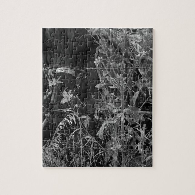 Quebra-cabeça Amish Horse Black and White Grunge (Vertical)